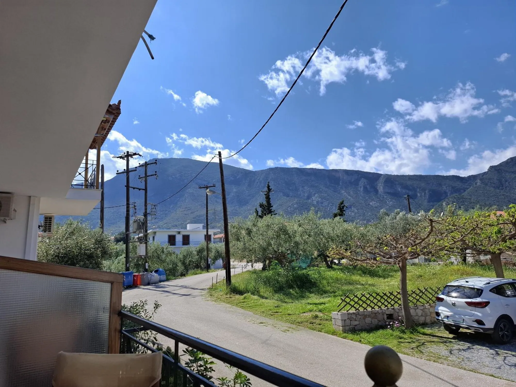 Ο Πάρνωνας και οι ελιές πάνω από τα Πούλιθρα